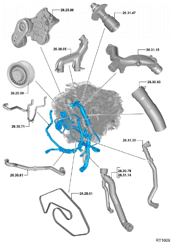 G11607867