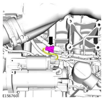 G11607904