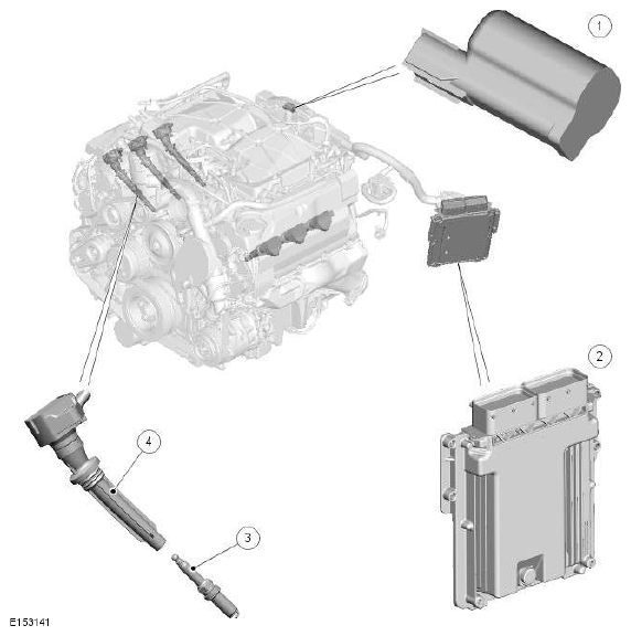 G11608189