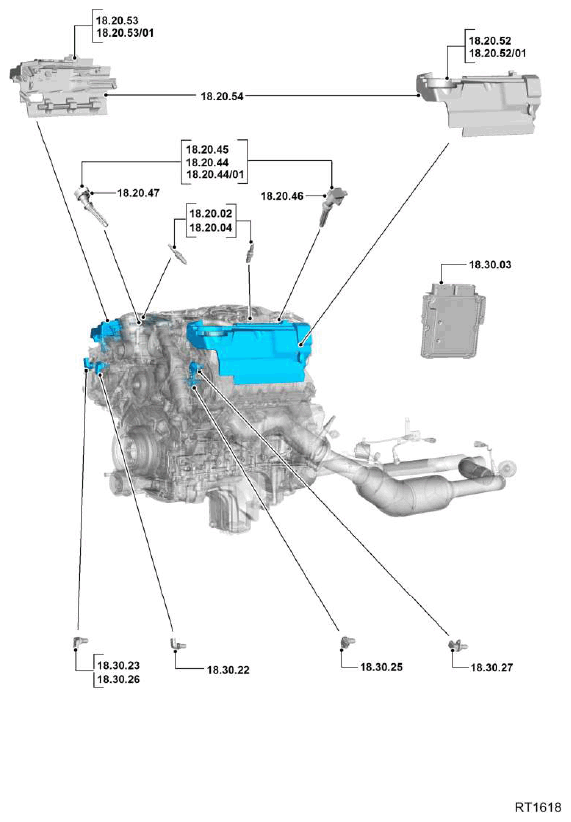 G11608192