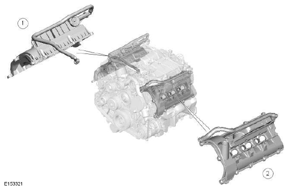 G11608294