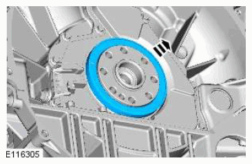 G11608491