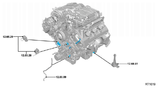 G11608513