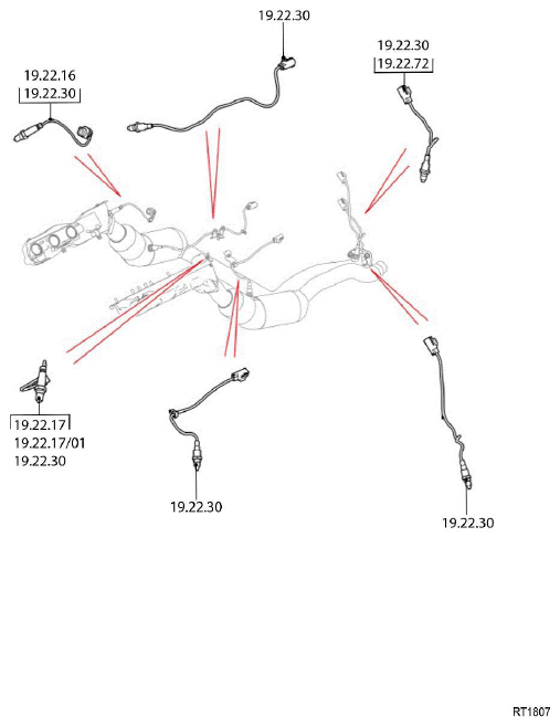 G11608532