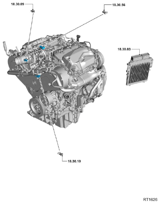 G11608534