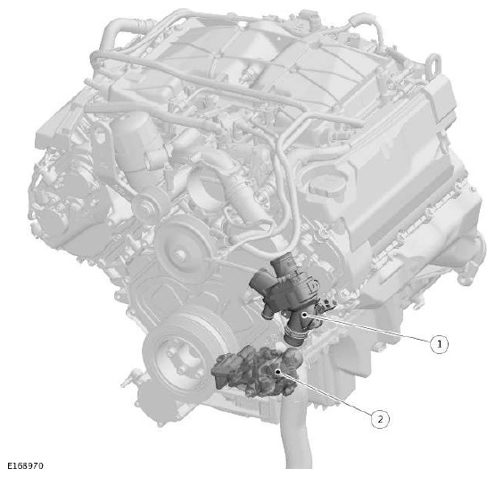 G11608557