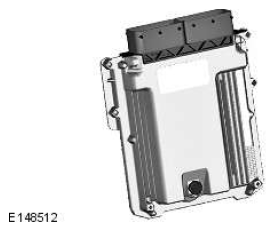 G11608560
