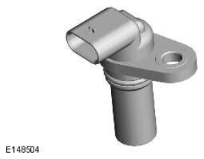 G11608561