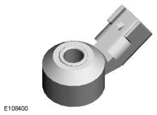 G11608564