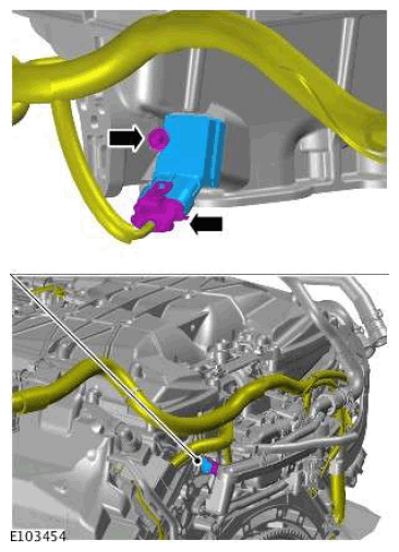 G11608605