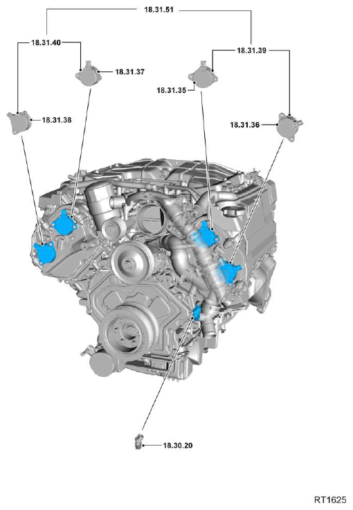 G11608606