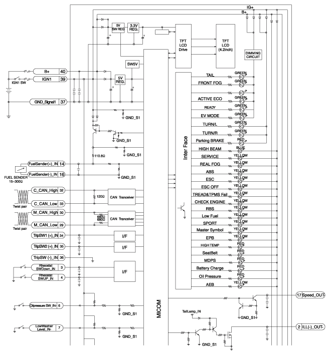 G11632976