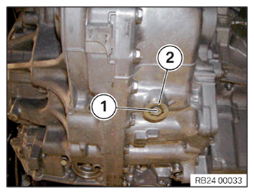 G11644819