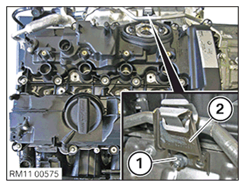 G11644895