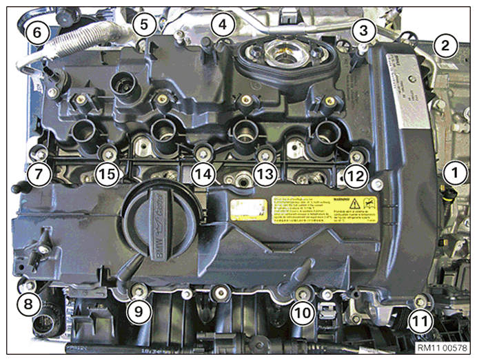 G11644898