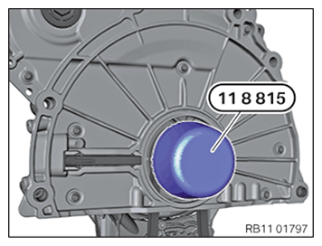 G11644938