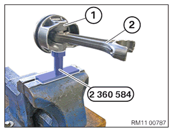G11645021