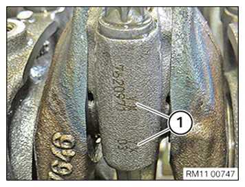 G11645038