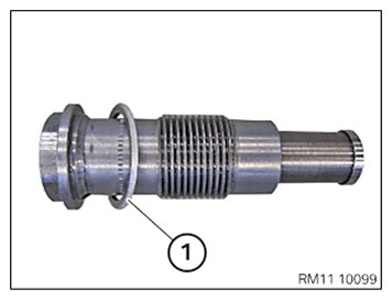 G11645135