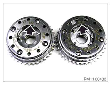 G11645186