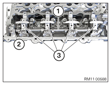 G11645276