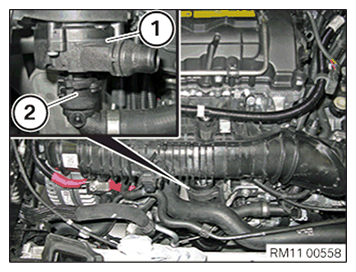 G11645394