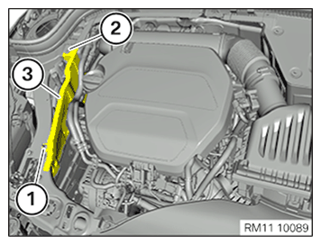 G11645540