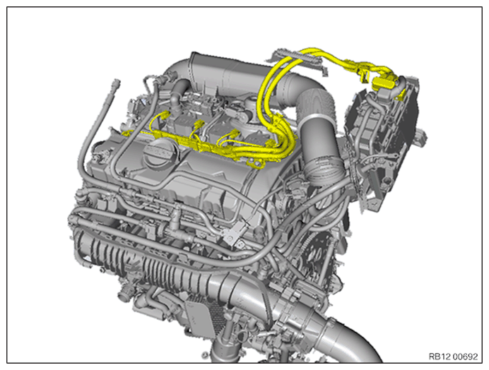 G11645575