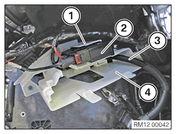 G11645629