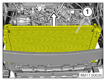 G11645904
