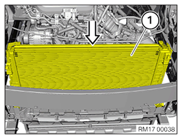 G11645905