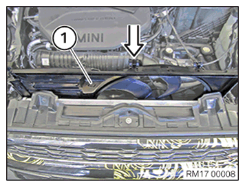 G11645916