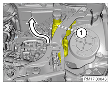 G11645927