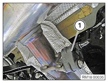 G11645951