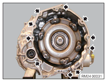 G11646036