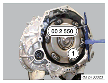 G11646094