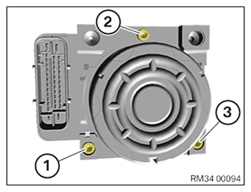 G11648531