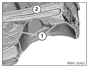 G11648823