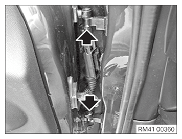 G11648923