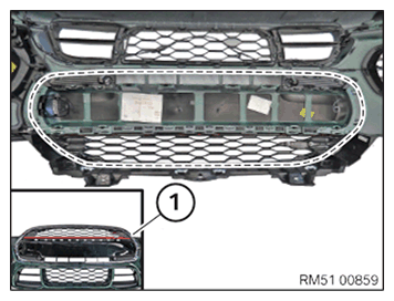 G11649036