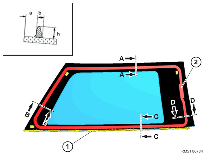 G11649306