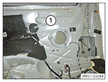 G11649332