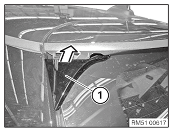 G11649490
