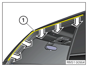 G11649513