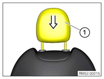 G11649553