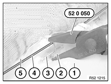 G11649611