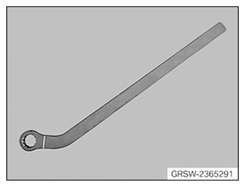 G11650817
