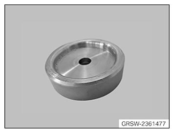 G11656036