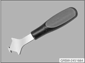 G11656053