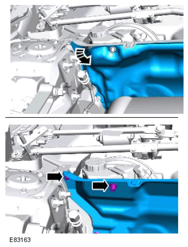 G11674898